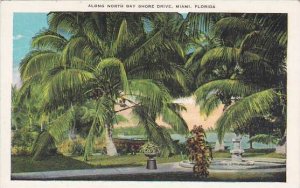 florida Miami Along North Bay Shore Drive