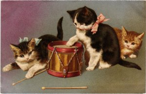 PC CATS, THREE CATS WITH BOWTIES AND A DRUM KIT, Vintage Postcard (b46629)