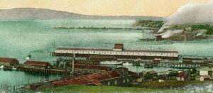 Postcard Antique View of Harbor in Everett, WA.     R5