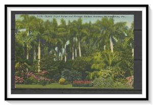 Florida, St Petersburg - Royal Palms - Turner's Sunken Gardens - [FL-054]