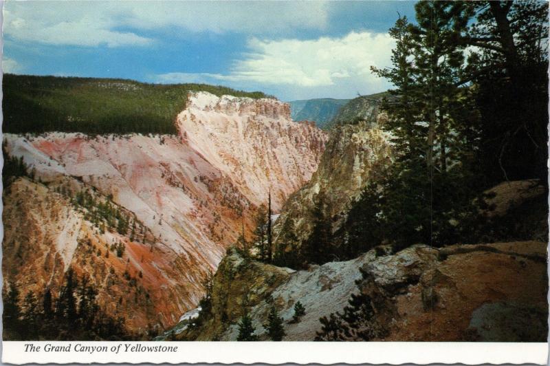 The Grand Canyon of  Yellowstone