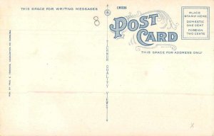 Isle of Palms South Carolina Beach Scene Vintage Postcard AA7138 