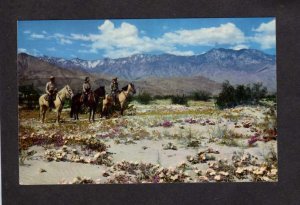 CA Mt San Jacinto Palm Springs Horses Coachella Valley California Postcard