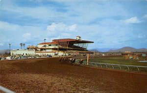 Turf Paradise Phoenix, AZ., USA Horse Racing PU Unknown 