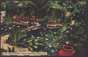 Lily Pond and Walks,Tropical Hobbyland,Miami,FL Postcard