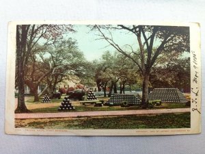 Vintage Postcard 1905 Trophy Park Fort Monroe VA Virginia by Detroit Photograph