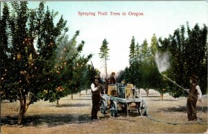 Spraying Fruit Trees In Oregon Vintage Postcard F62