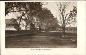 Fort Bayard NM Avenue Street Homes c1905 Postcard