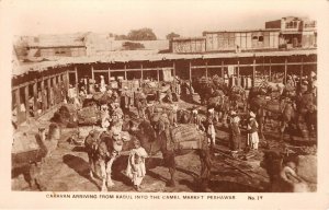 Lot141 Peshawar caravan arriving from kaboul camel real photo Pakistan