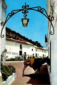 Spain Costa Del Sol Mijas Typical Street Scene 1970