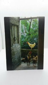 Vintage Postcard French Farmyard Scene Hens & Cockerel wait for Kitchen Scraps