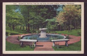 Dogwood Festival Time King College Bristol TN Post Card 3610