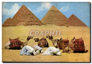 Modern Postcard The Prayer Giza near the pyramids