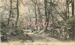 Old Postcard Fontainebleau La Foret Gorge aux Loups