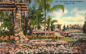 Florida Palatka Ravine Gardens Scenic View Curteich