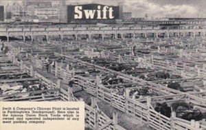 Illinois Chicago Swift & Company Plant & Union Stock Yards 1953 Curteich