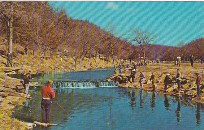 Missouri Cassville Early Spring Trout Fishing Roaring River State Park