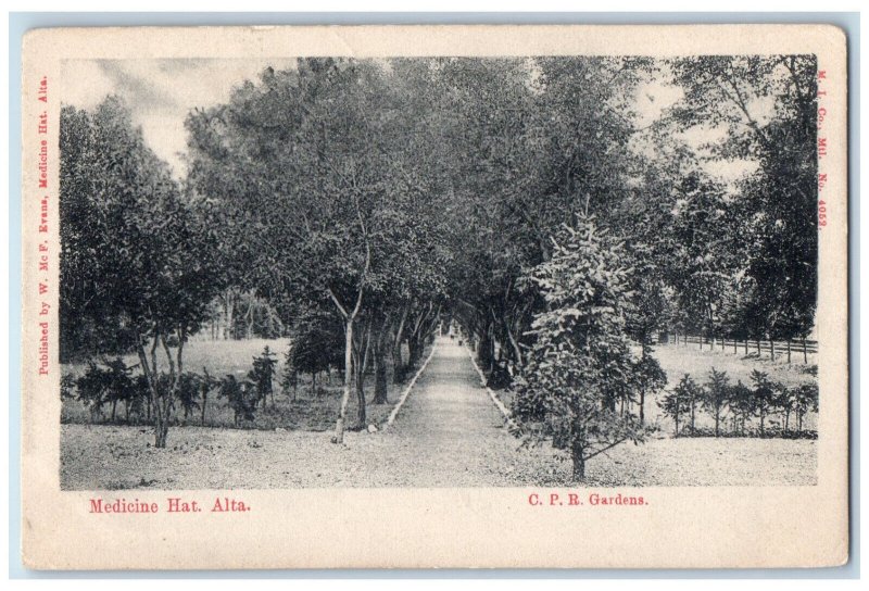 1906 C.P.R. Gardens Medicine Hat. Alberta Canada Antique Posted Postcard