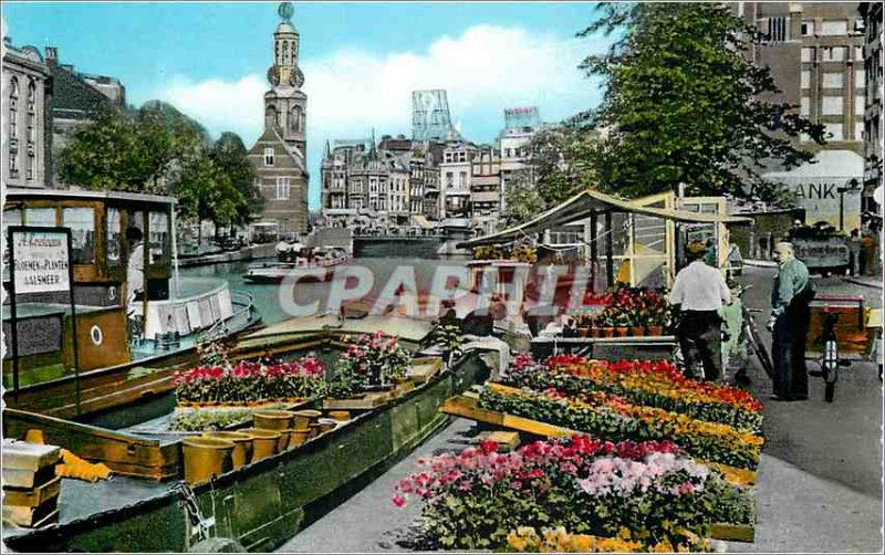 Postcard Modern Flowermarket Amsterdam Singel