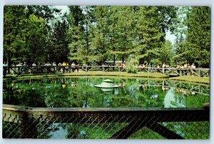 c1960 Castalia Ohio OH Vintage Postcard Blue Hole Route 269 View Forest Trees