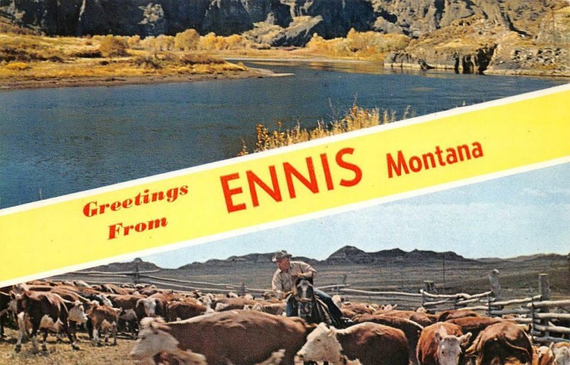 Montana Greetings ENNIS Cowboy Horse Ranch Madison County 1961 Vintage Postcard