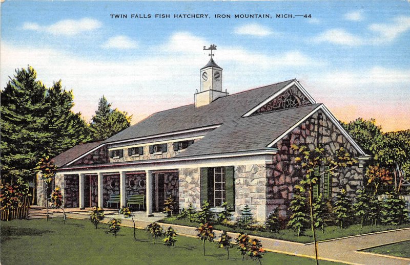 Iron Mountain Michigan 1940-50s Postcard Twin Falls Fish Hatchery