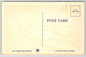 Large Letter Greetings From   Buffalo  New York  Postcard