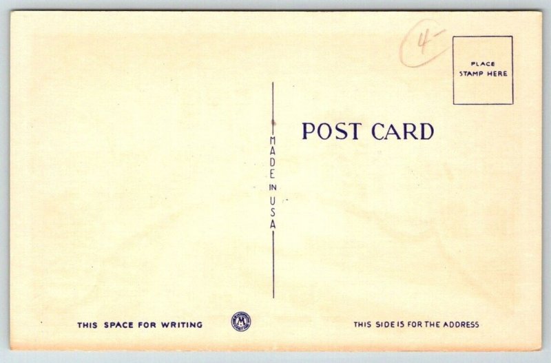 Large Letter Greetings From   Buffalo  New York  Postcard