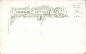 Bear River Nova Scotia Bird's Eye View Vintage Postcard