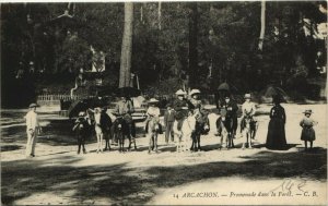 CPA ARCACHON-Promenade dans la Foret (28003)