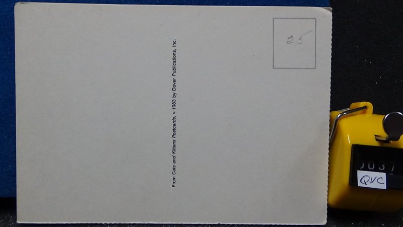 Two Cats From Cat and Kittens Postcards Dover Publications 1983 Unposted