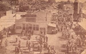 Waterloo Iowa~Root Beer or Coke @ The Midway Restaurant~Cattle Congress 1930s PC
