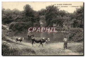 Old Postcard Clecy La Suisse Normande The Trough Cows