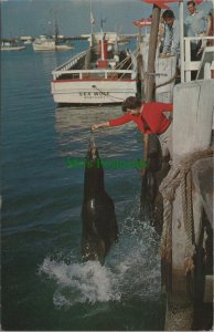 America Postcard - Sam's Fishing Fleet, Wharf, Monterey, California RS27706