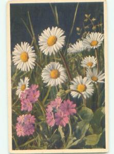 Very Old Foreign Postcard BEAUTIFUL FLOWERS SCENE AA4808