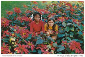 Two Little Girls In A Wonderland Of Flowers In Bermuda Poincianas