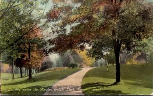 Washington Tacoma Wright Park Looking Under The Maples Curteich