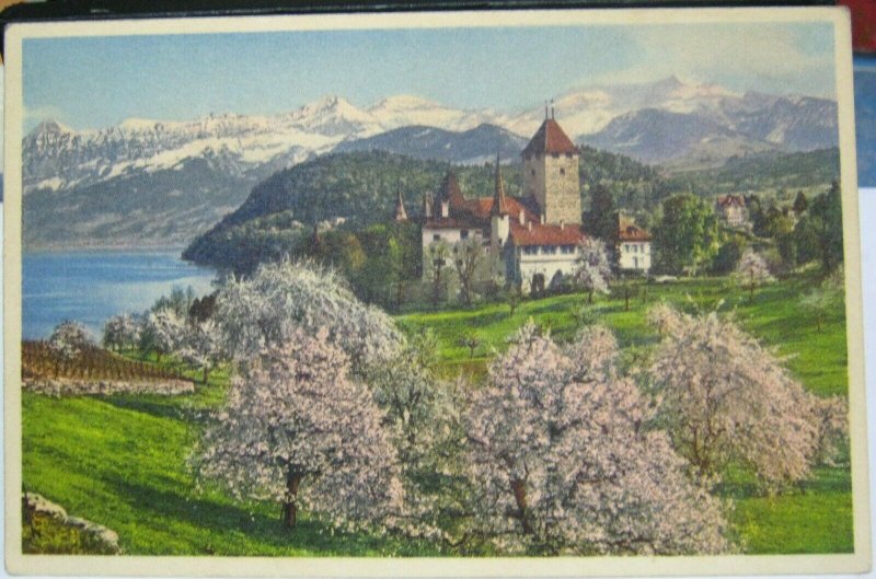 Switzerland Spiez Schloss mit Thunersee - unposted