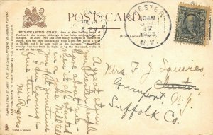 Southern Florida 1908 Postcard Purchasing Orange Crops by Tucks