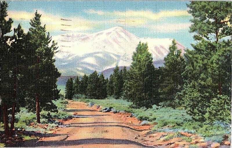 Mt. Elbert Near Leadville Colorado Vintage Postcard Standard View Card  