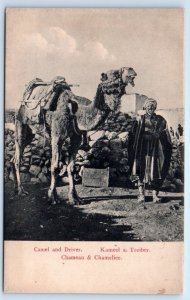 Camel & Driver ISRAEL Postcard