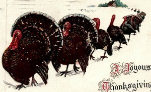 1914 THANKSGIVING TURKEYS IN LINE SNOW GWYNEDD PA TUCKS EMBOSSED POSTCARD 20-167