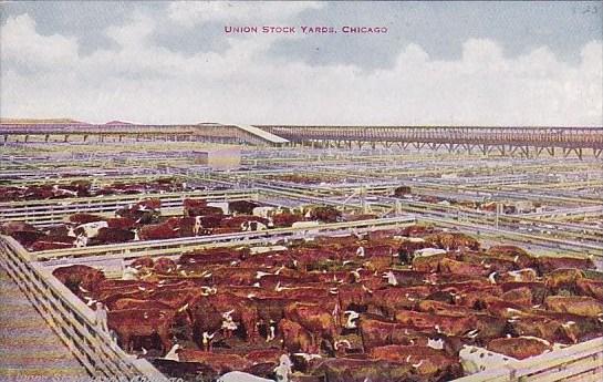 Illinois Chicago Union Stock Yards