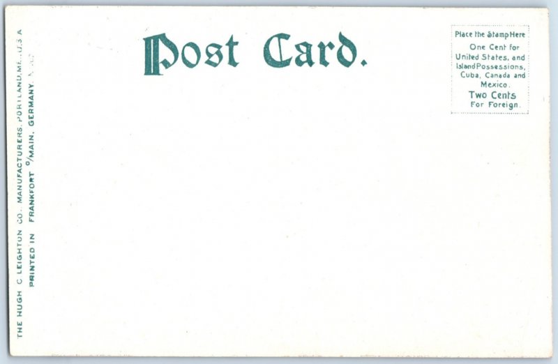 c.1900-07 Adirondack Mountains Big Falls, Wilmington Notch Postcard F121