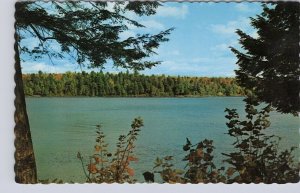 Fall Colours Near Ahmic Harbour, Neighick Lake, Ontario, Vintage Chrome Postcard