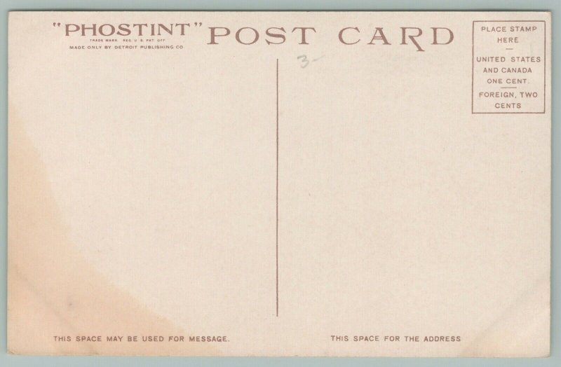 Ships~Detroit City Steamer~Detroit Pub Co~11709~Postcard