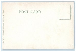 c1905 Steamer Ship Priscilla Fall River Line Massachusetts MA Antique Postcard