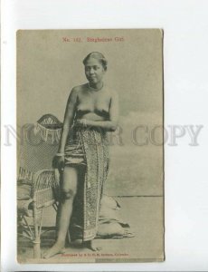 3173809 CEYLON nude Singhalese Girl Vintage postcard