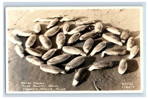 Vintage RPPC Razor Clams From Pacific Ocean Coperlis Beach P203E