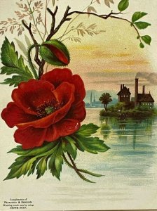 Fairchild Shelton Ozone Washing Soap 1880s Floral City Island Mill Flower Scene